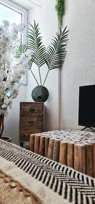 #New#Terrasse Sud Ouest#Pied De La Cite #1 Apartment Carcassonne Ngoại thất bức ảnh