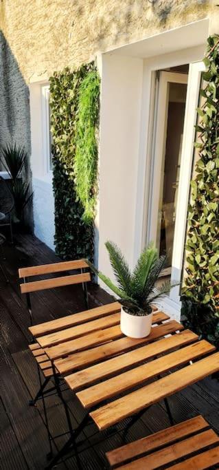 #New#Terrasse Sud Ouest#Pied De La Cite #1 Apartment Carcassonne Ngoại thất bức ảnh
