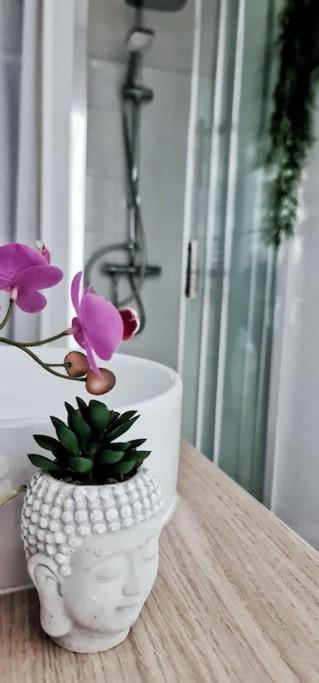 #New#Terrasse Sud Ouest#Pied De La Cite #1 Apartment Carcassonne Ngoại thất bức ảnh